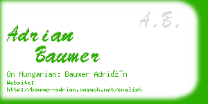 adrian baumer business card